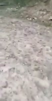 208x400
