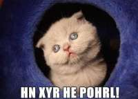 540x387