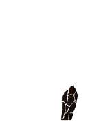 1500x2000