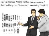682x496