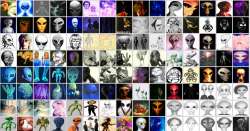 1263x662