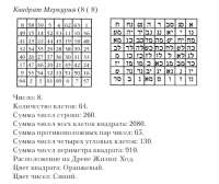 520x437