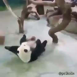360x360