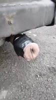 406x720