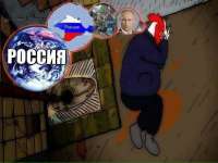 604x453