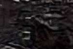 151x102
