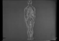 342x240